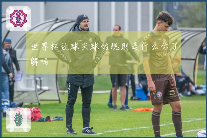 世界杯让球买球的规则是什么你了解吗