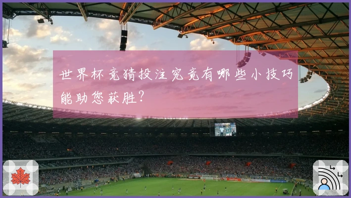 世界杯竞猜投注究竟有哪些小技巧能助您获胜？