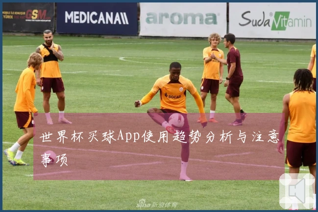 世界杯买球App使用趋势分析与注意事项