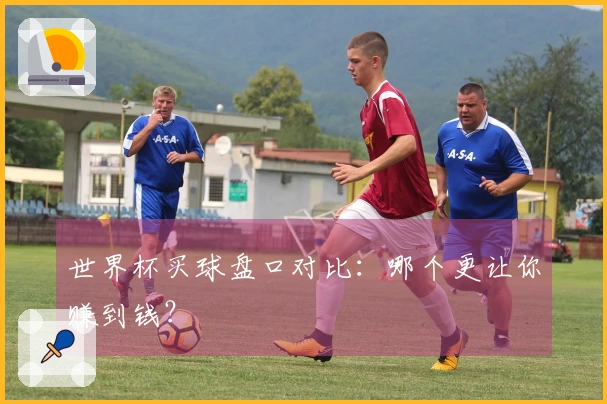 世界杯买球盘口对比：哪个更让你赚到钱？