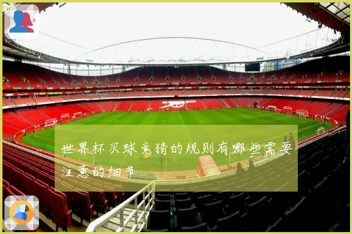 世界杯买球竞猜的规则有哪些需要注意的细节