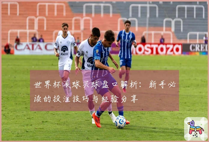 世界杯滚球买球盘口解析：新手必读的投注技巧与经验分享
