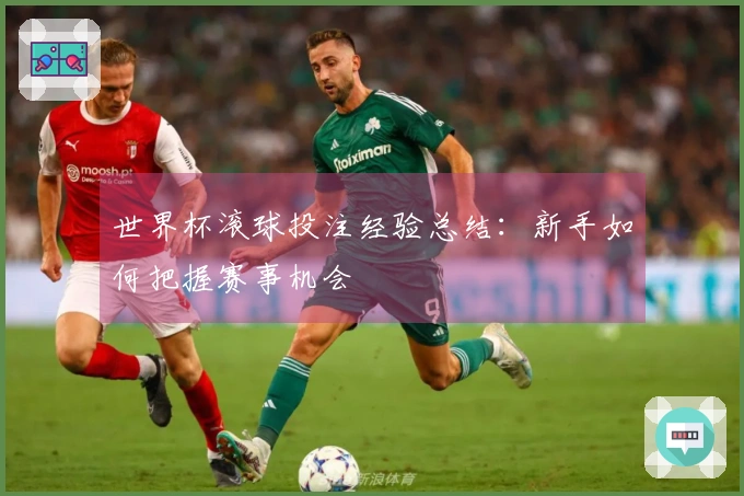 世界杯滚球投注经验总结：新手如何把握赛事机会