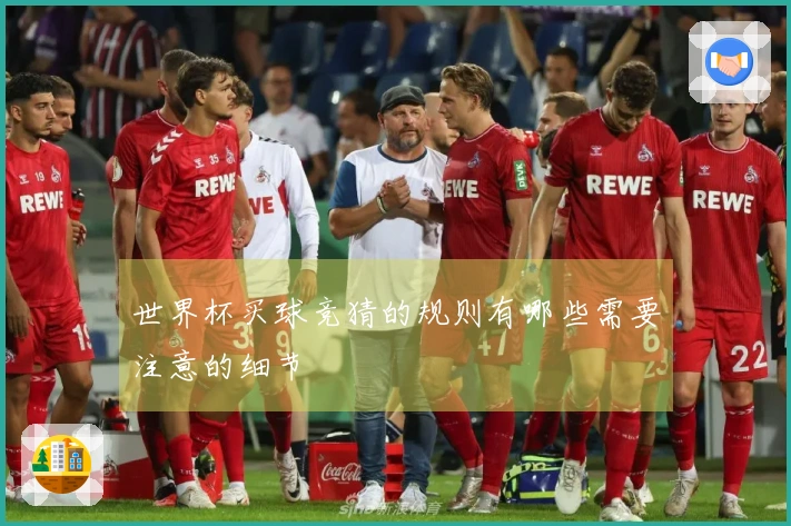 世界杯买球竞猜的规则有哪些需要注意的细节