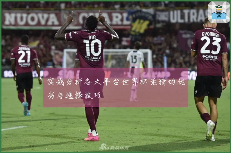 实战分析各大平台世界杯竞猜的优劣与选择技巧
