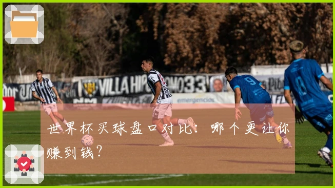 世界杯买球盘口对比：哪个更让你赚到钱？